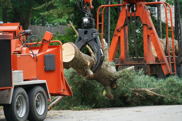 Best Weed Control  in Olmsted Falls, OH